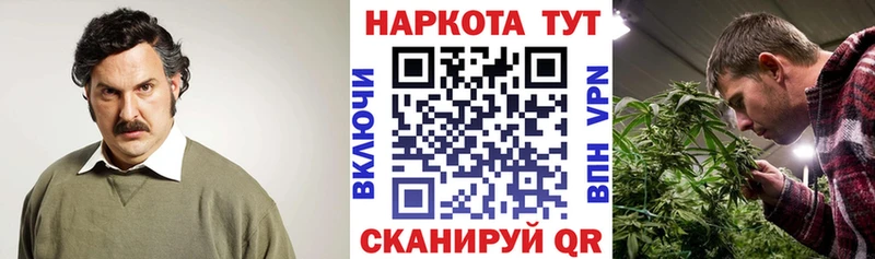 Что такое Армавир Гашиш  МЕФ 