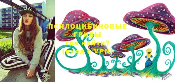 мескалин Коряжма
