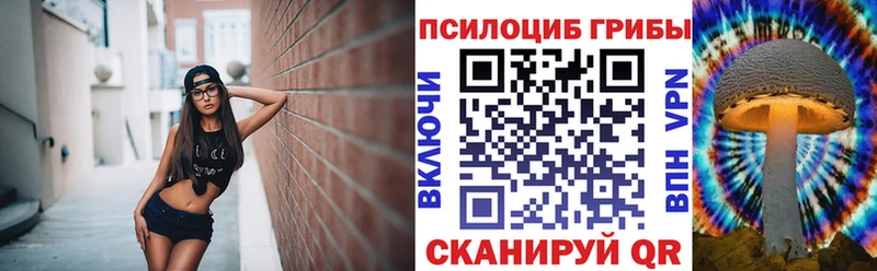 Галлюциногенные грибы Cubensis  kraken маркетплейс  нарко площадка Telegram  Армавир 