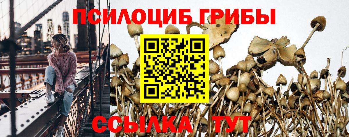 Псилоцибиновые грибы мухоморы Армавир